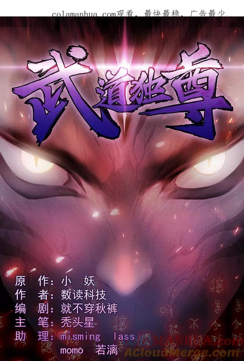《武道独尊》第28话 枫叶城 第1页
