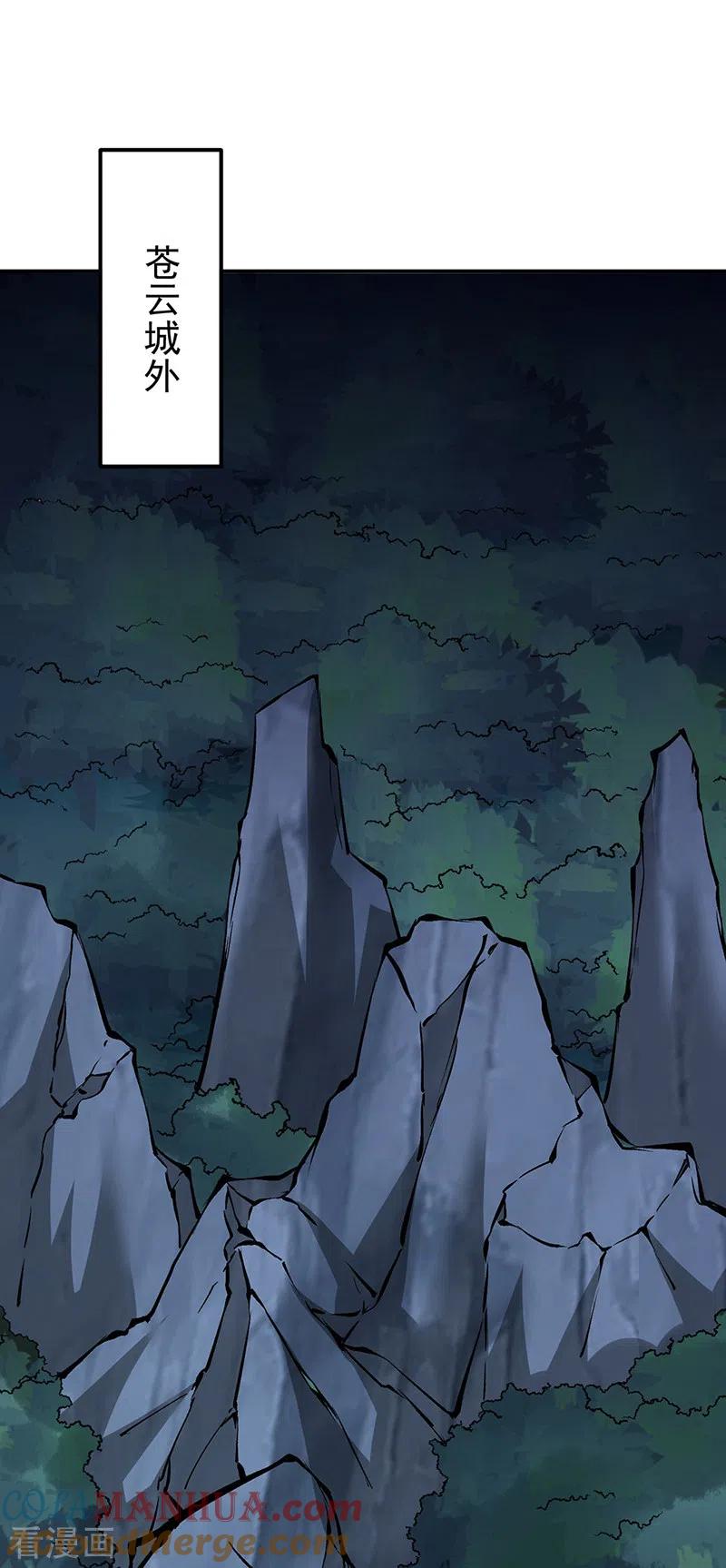 《武道独尊》第313话 印记碎片 第29页