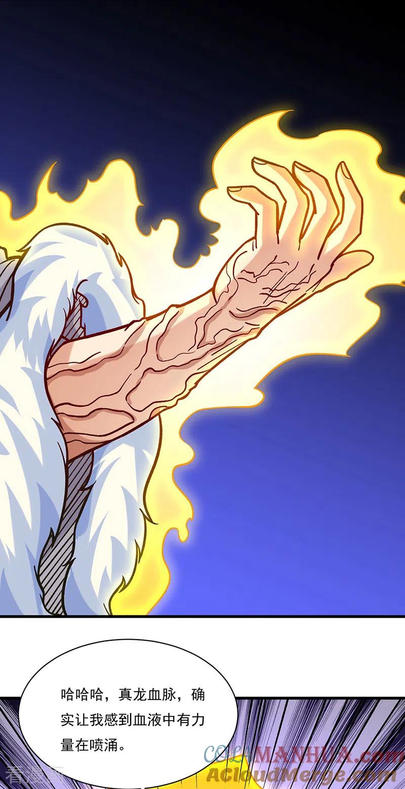 《武道独尊》第331话 神龙元息 第4页