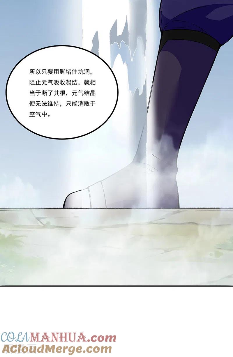 《武道独尊》第343话 万象球 第9页