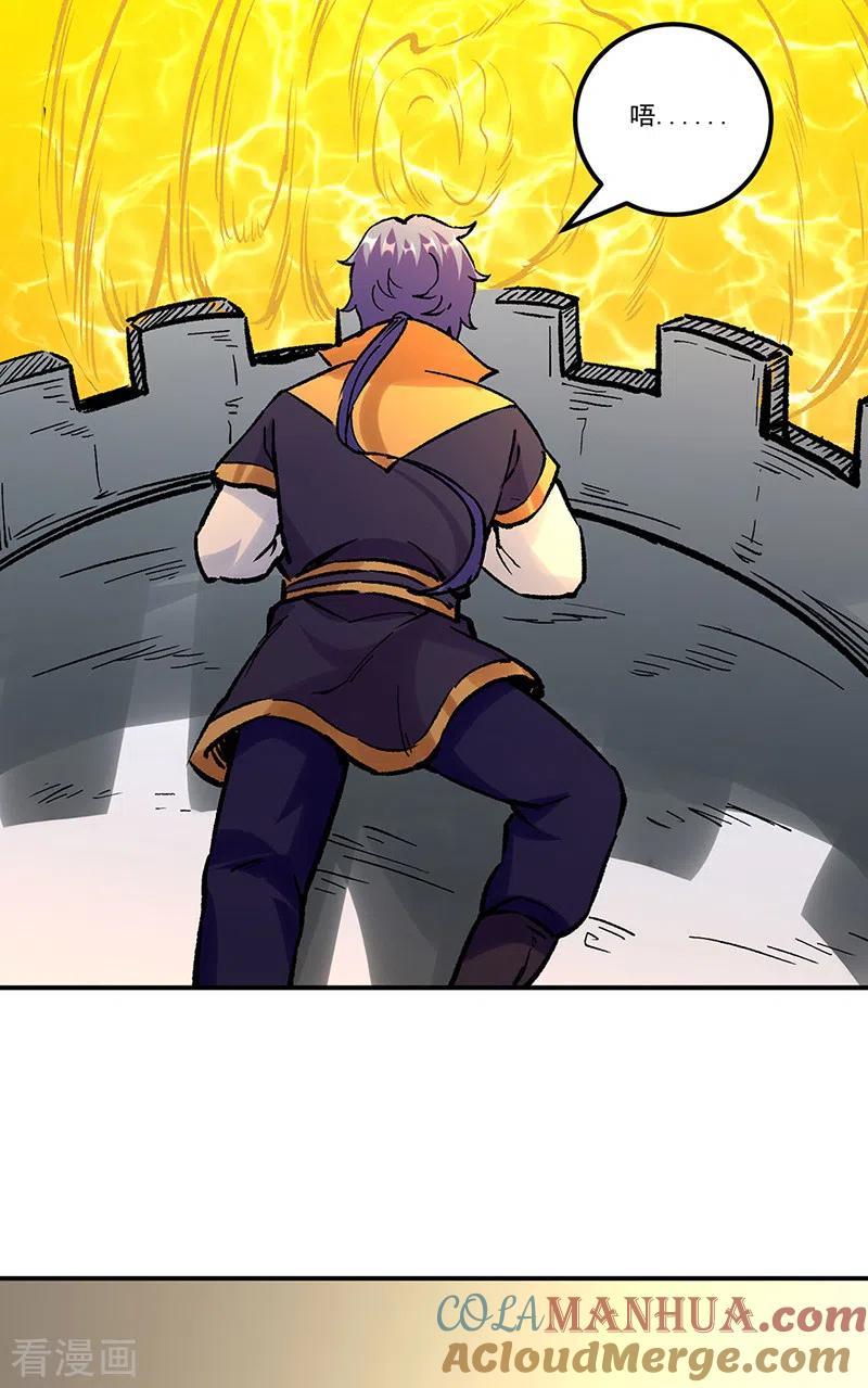 《武道独尊》第376话 财力碾压 第29页