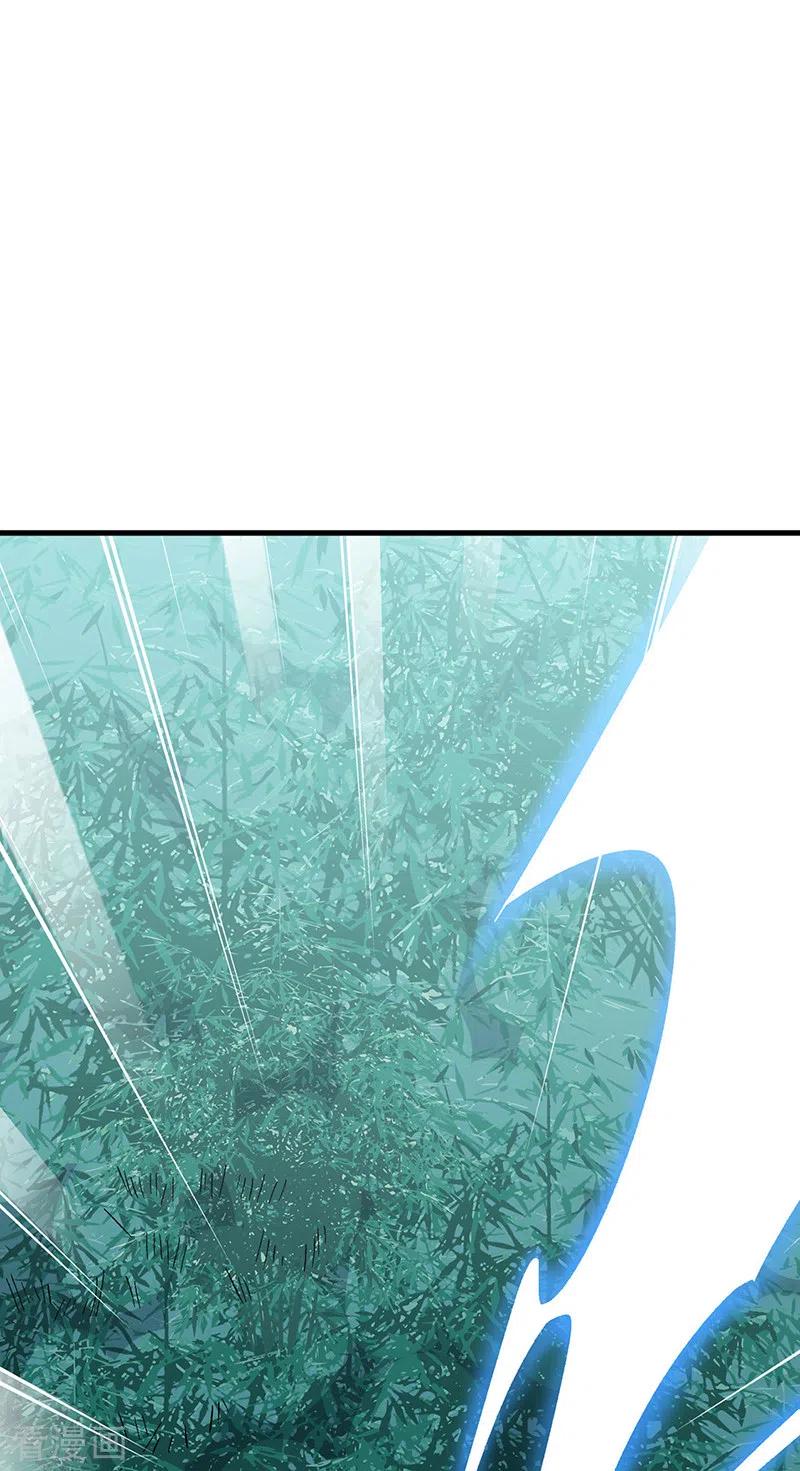 《武道独尊》第379话 大大的羞辱 第31页