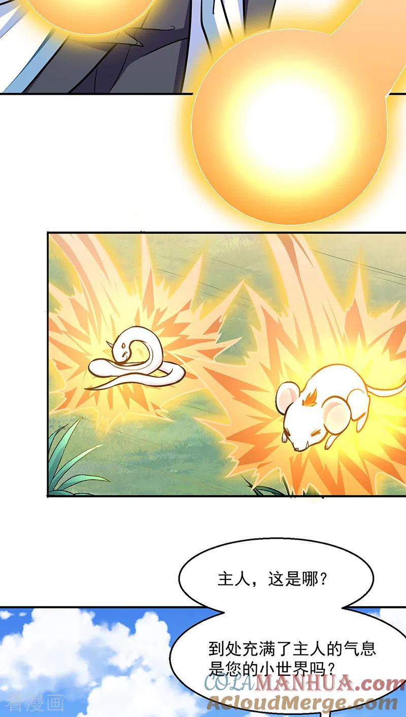 《武道独尊》第465话 玉凌黛！ 第5页