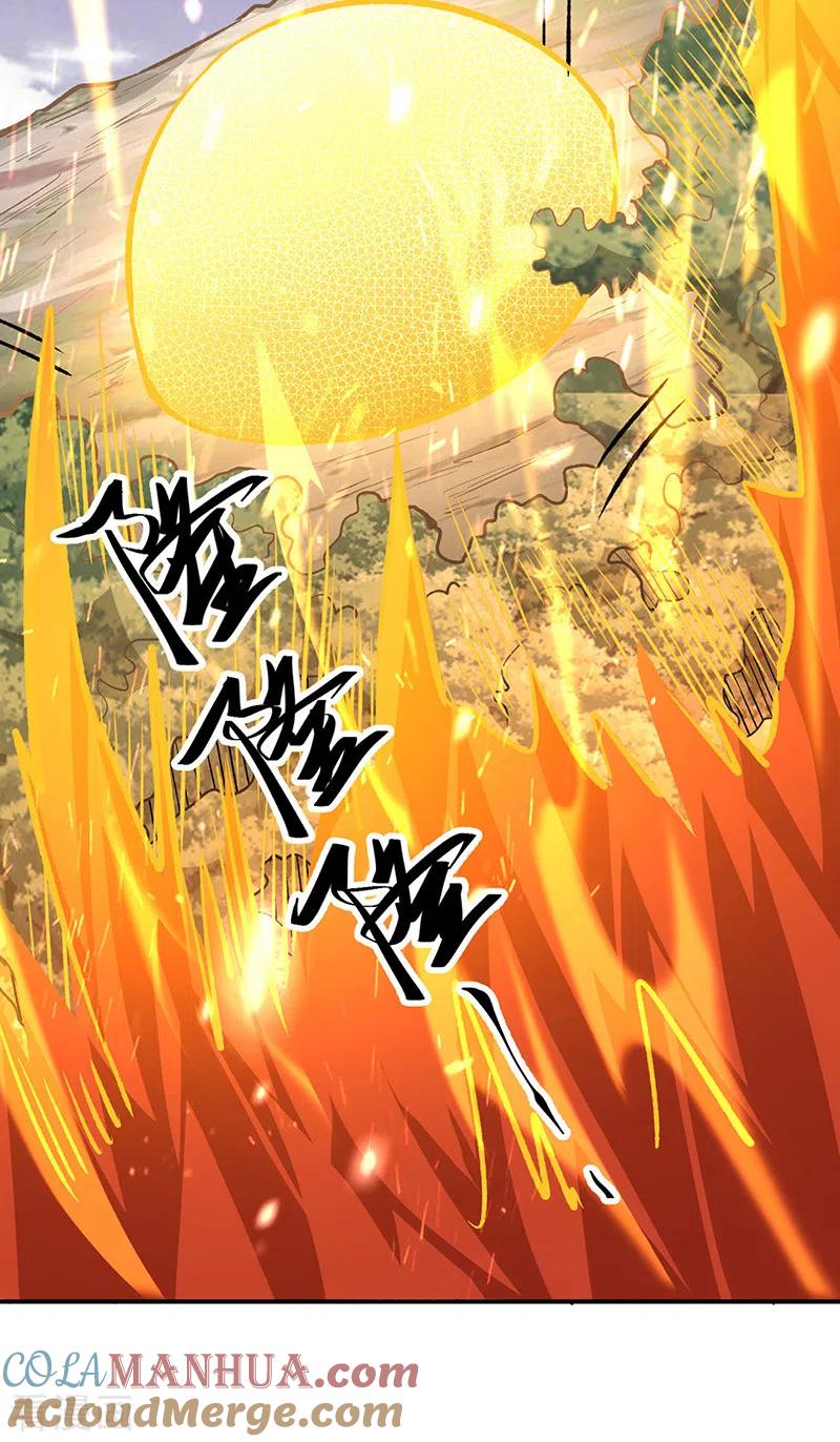 《武道独尊》第474话 擎天陨焰阵 第15页