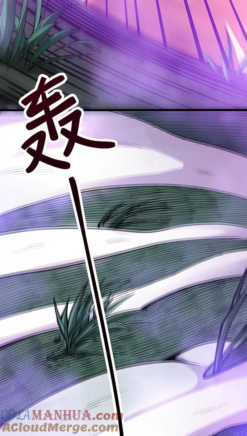 《武道独尊》第501话 诛神剑 第27页