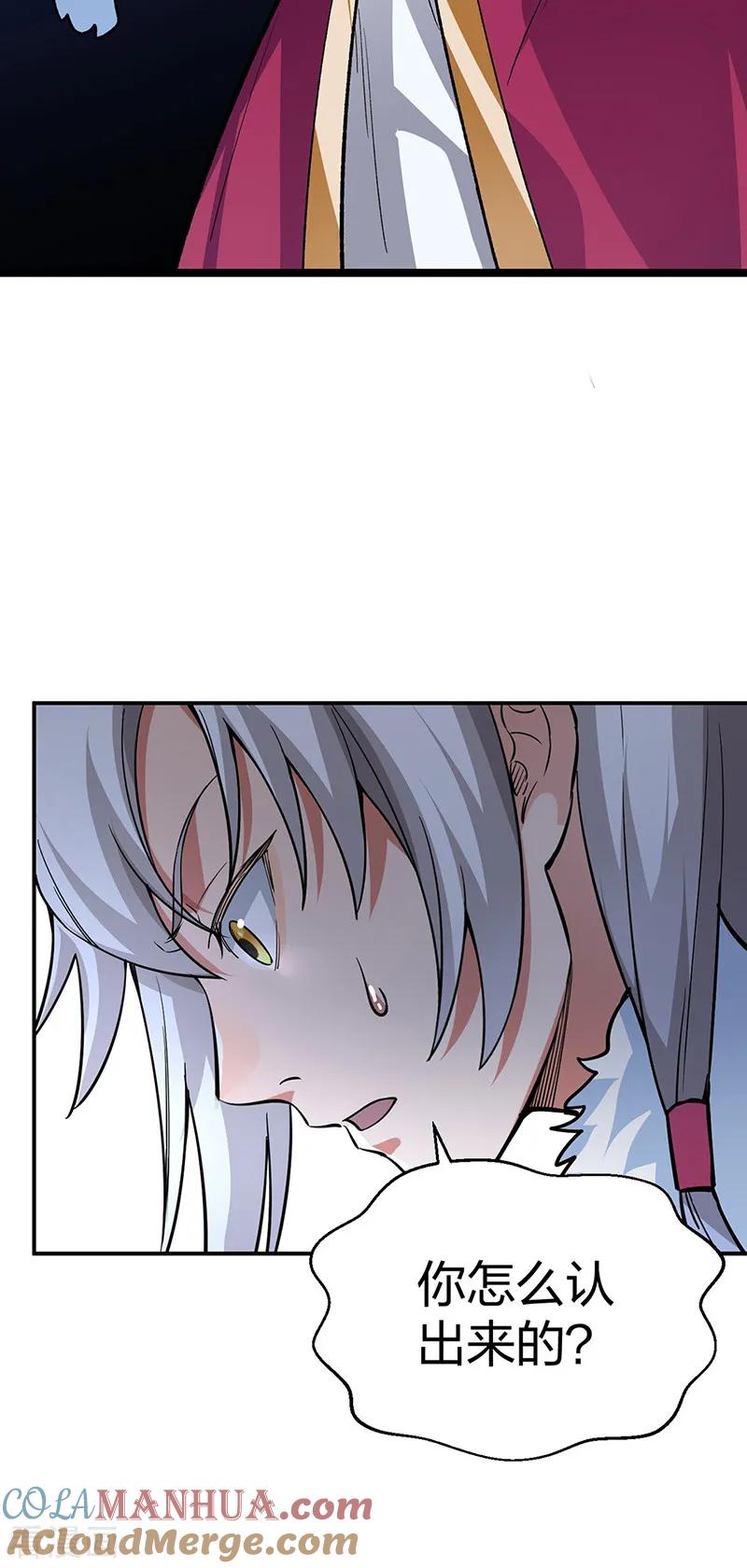 《武道独尊》第569话 朱雀守护大阵 第4页