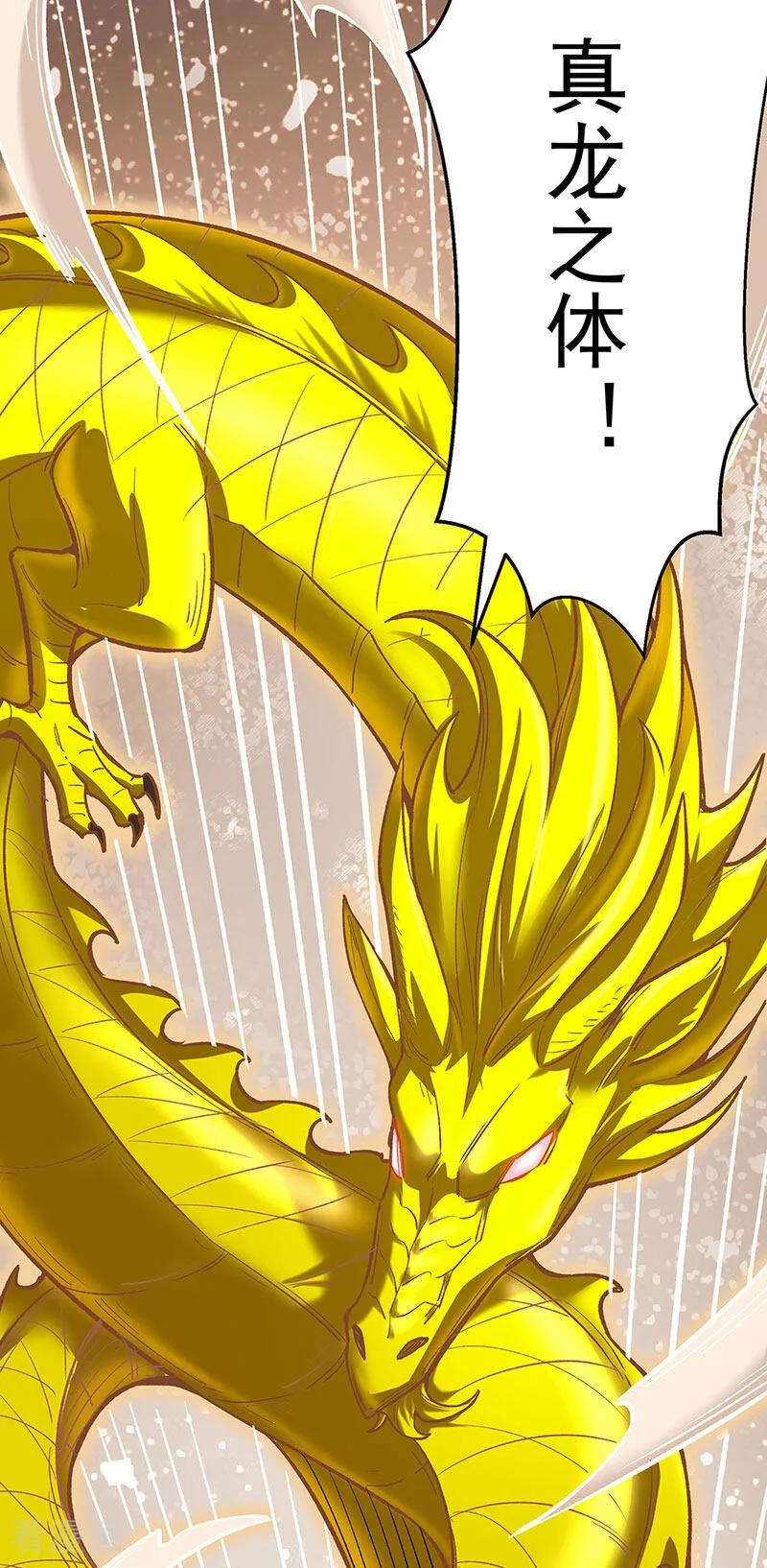 《武道独尊》第600话 金乌卵 第11页