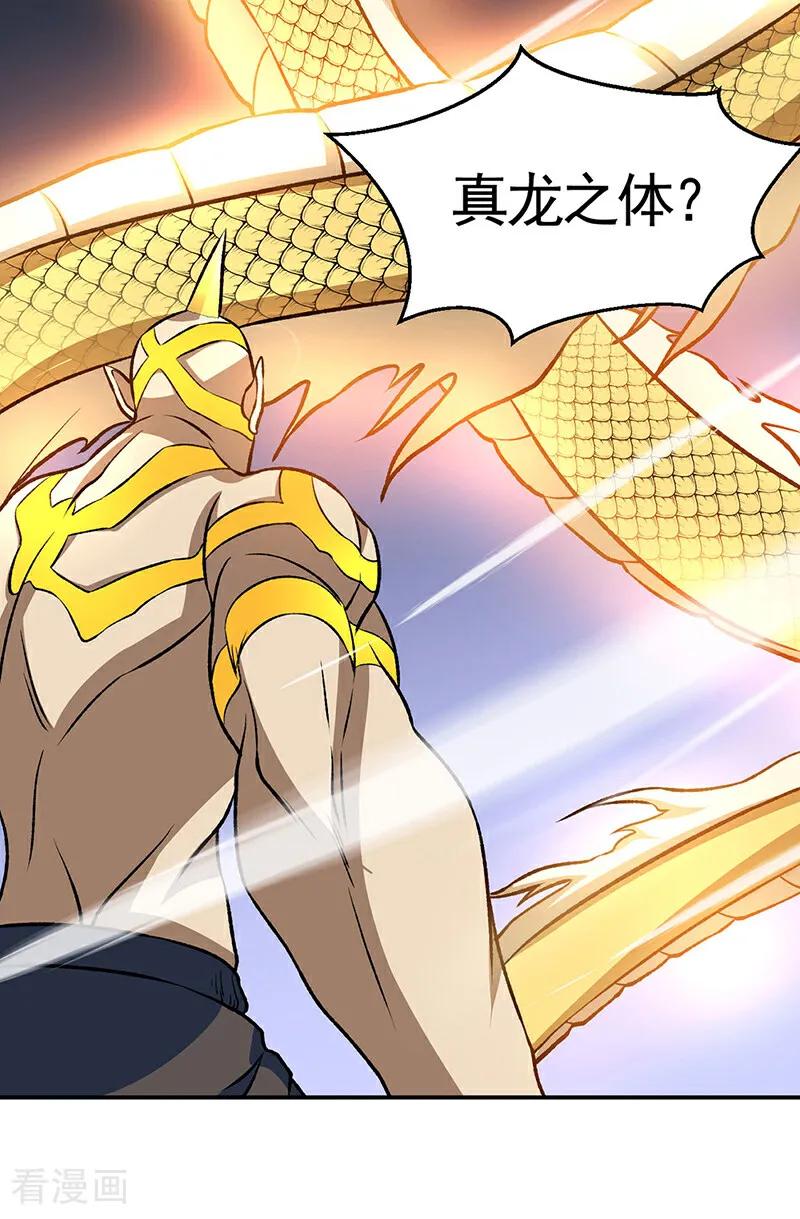 《武道独尊》第608话 龙是这么打架的？ 第27页