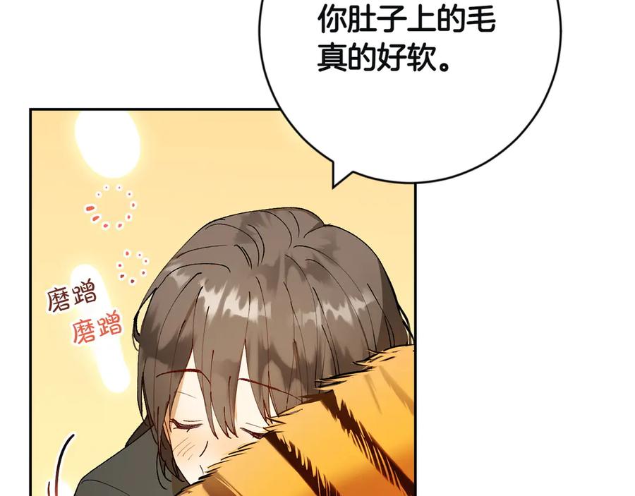 《和猛虎大人的恋爱旅行》第3话 不错的同伴 第155页