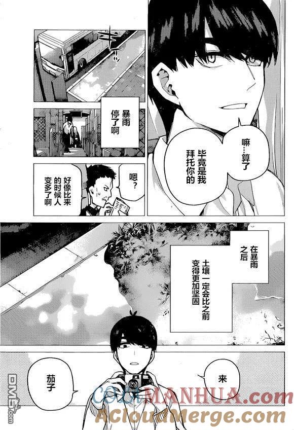 《五等分的花嫁》第86话 试看版 第13页