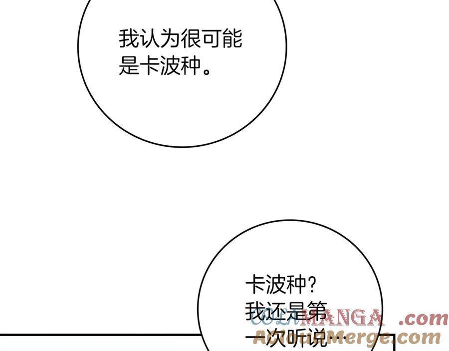 《一键三连后，我无敌了》第15话 S+等级卡波种 第205页