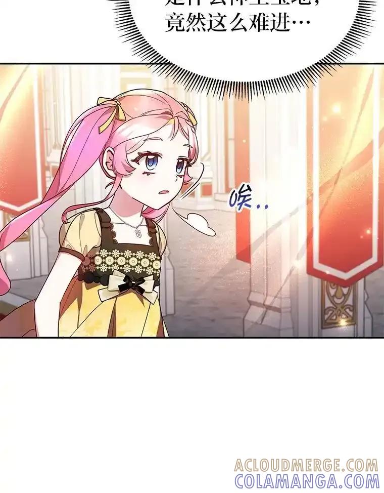 《宝贝龙太子妃驯服疯子》37.卡奥尔坦的日记 第5页