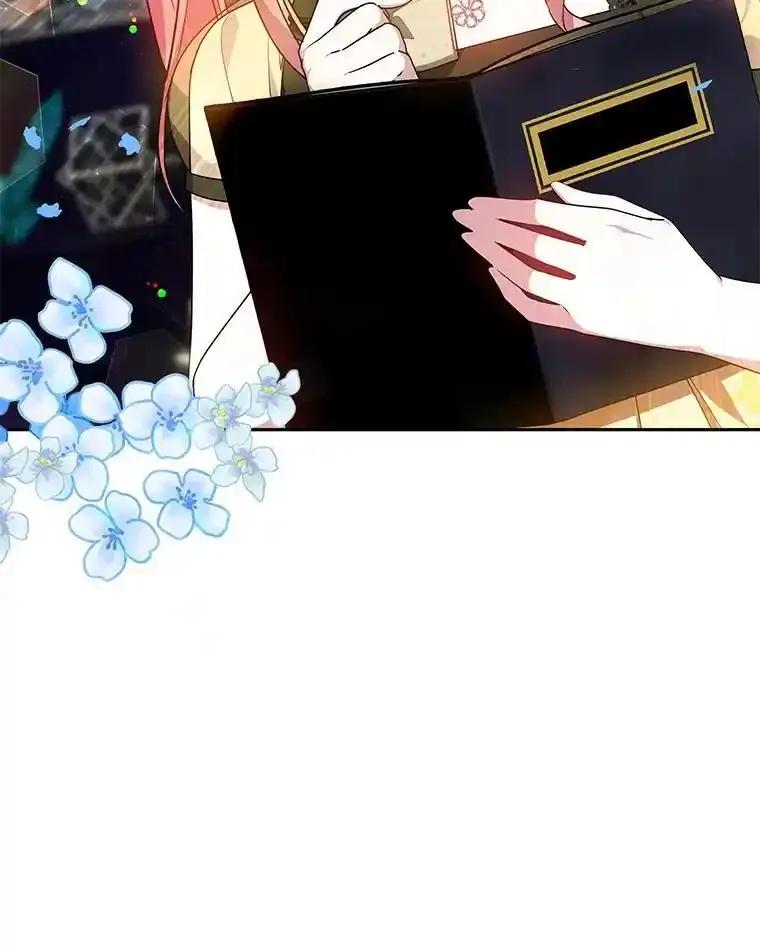《宝贝龙太子妃驯服疯子》37.卡奥尔坦的日记 第110页
