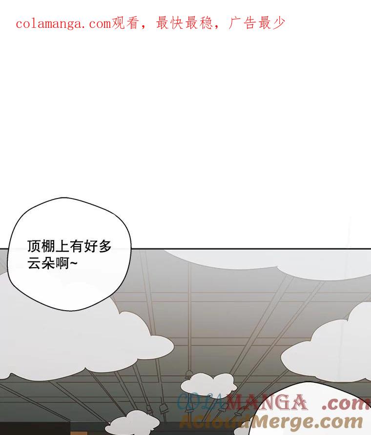 《追逐光的爱恋》26.粉丝见面会（本季完） 第1页