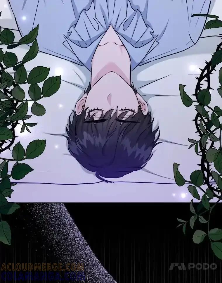 《怕冷的北部大公》60.学习梦魔法 第7页