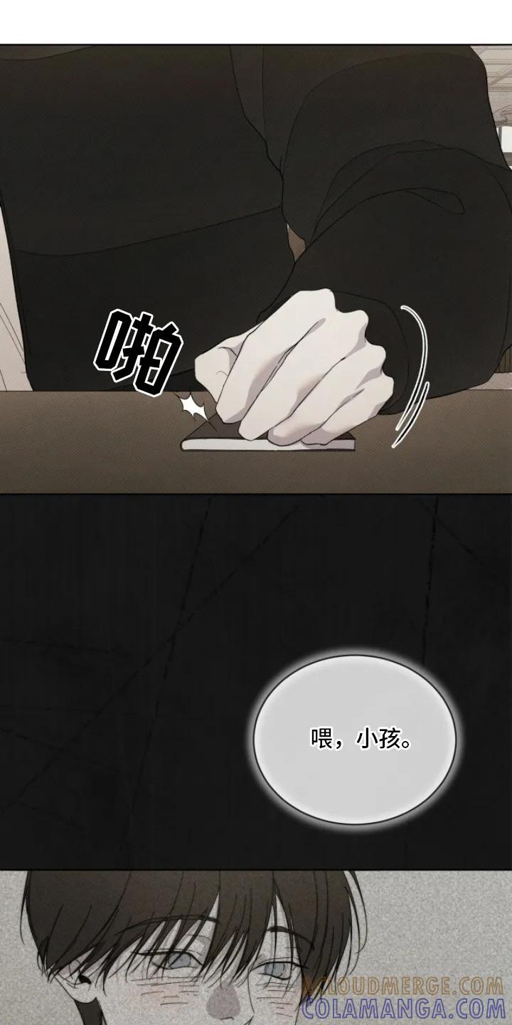 《物种的进化》第11章：名片 第7页