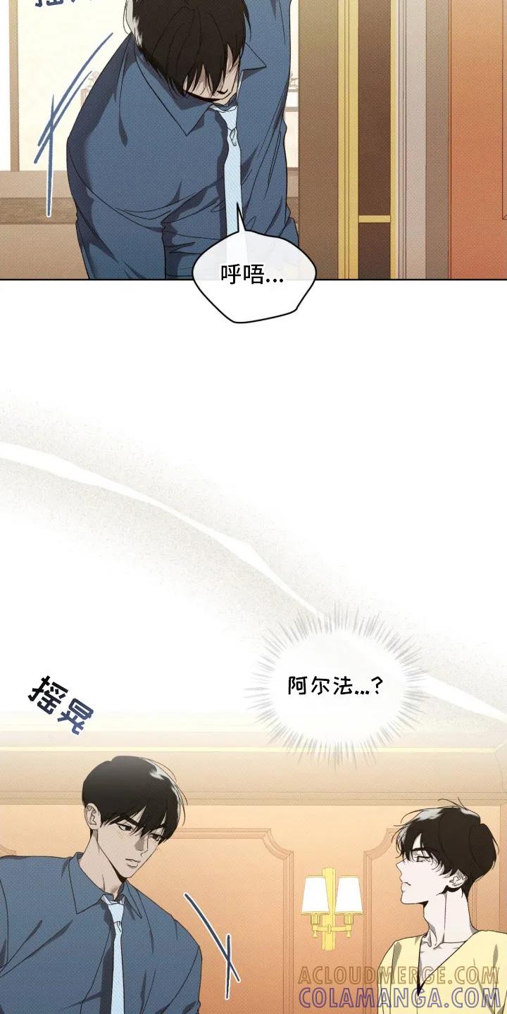 《物种的进化》第15章：理清思路 第21页
