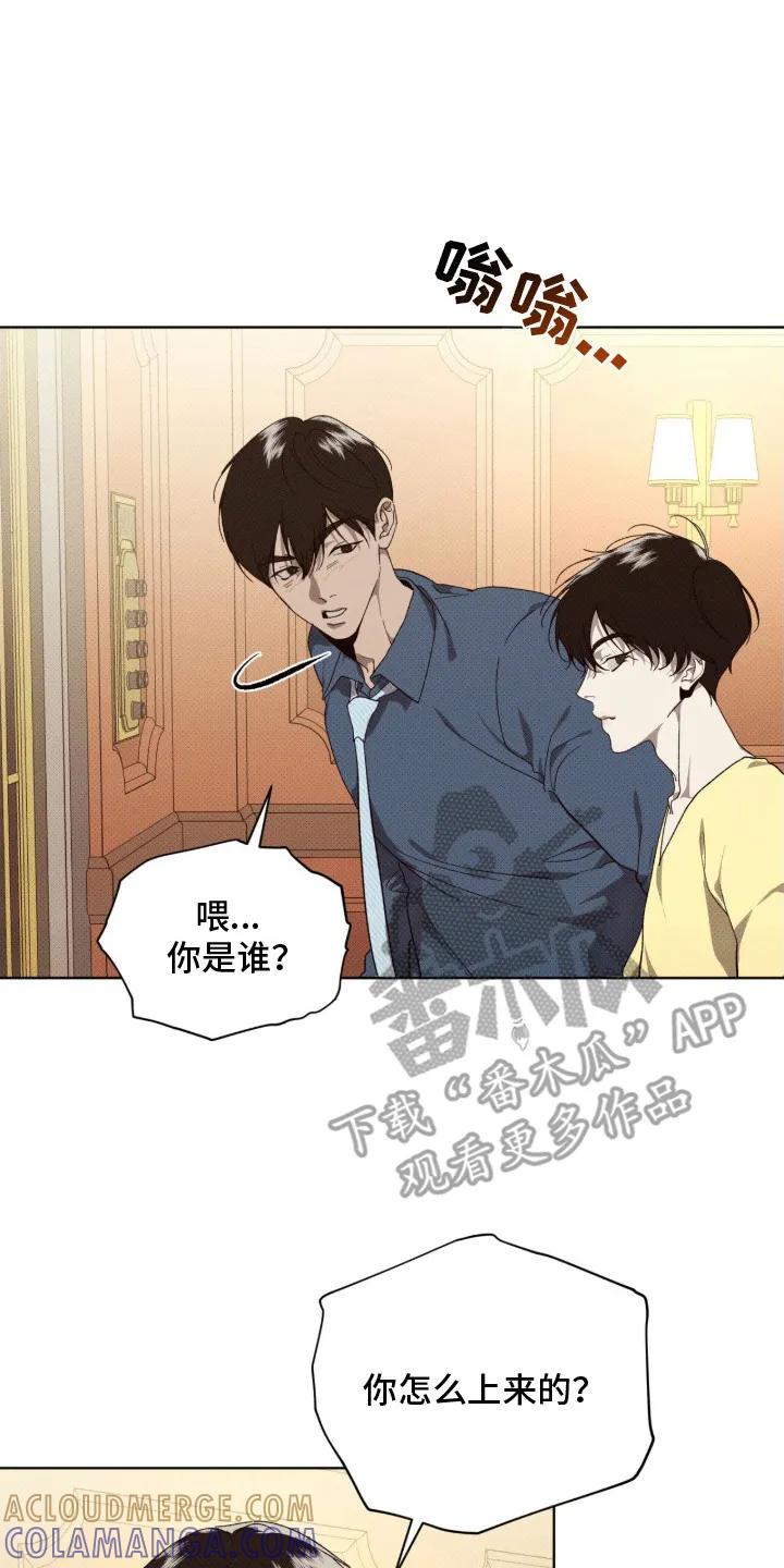 《物种的进化》第15章：理清思路 第23页