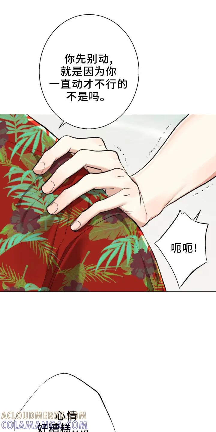 《海岛人生》第19章：隐瞒 第13页