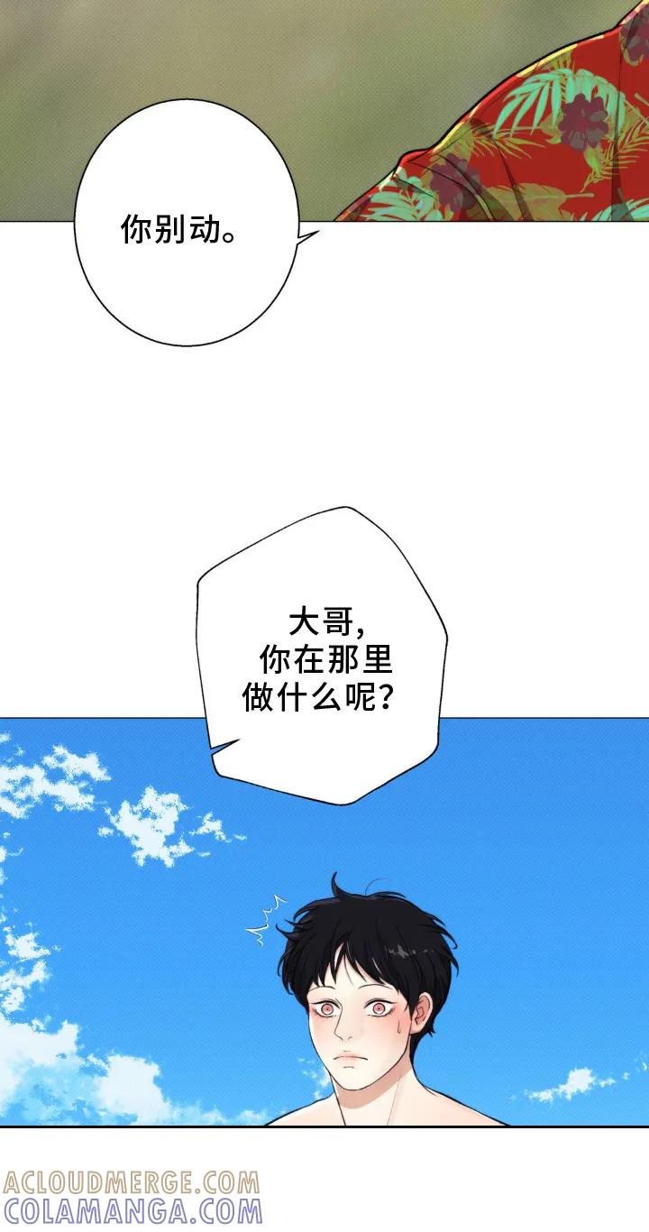 《海岛人生》第19章：隐瞒 第15页