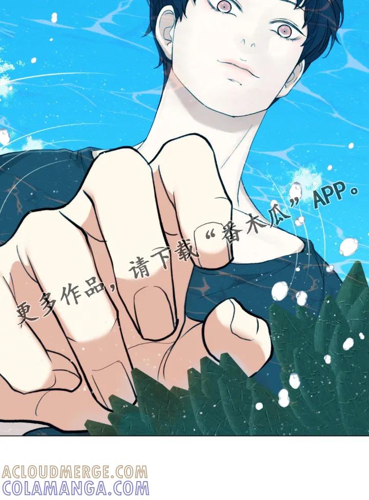 《海岛人生》第19章：隐瞒 第29页