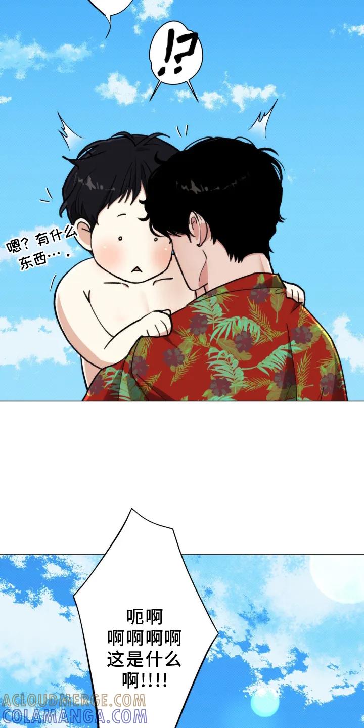 《海岛人生》第19章：隐瞒 第11页