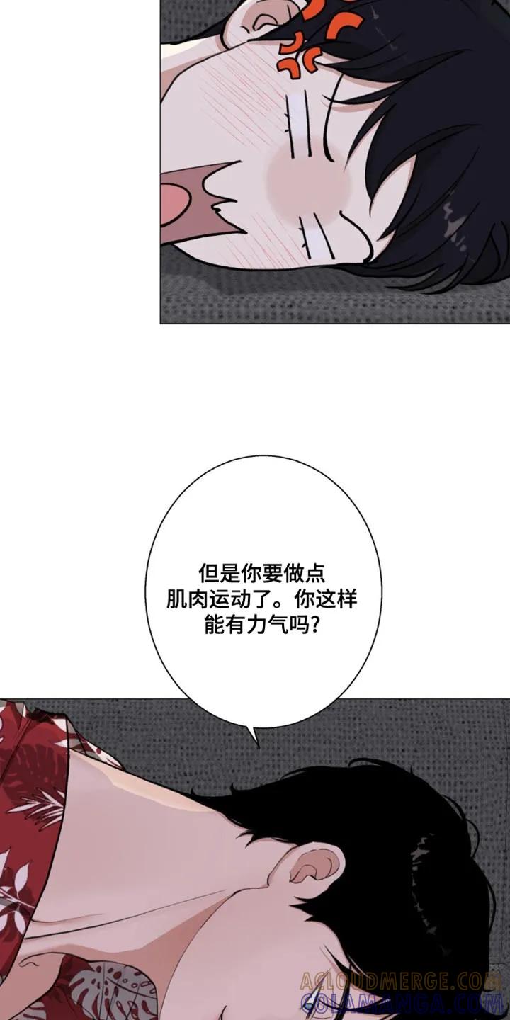 《海岛人生》第21章：讽刺 第13页