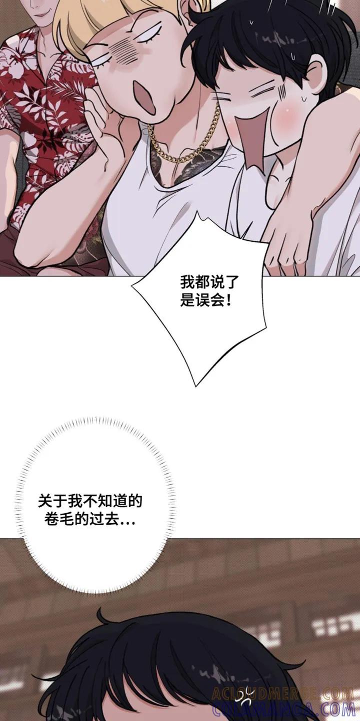 《海岛人生》第21章：讽刺 第21页