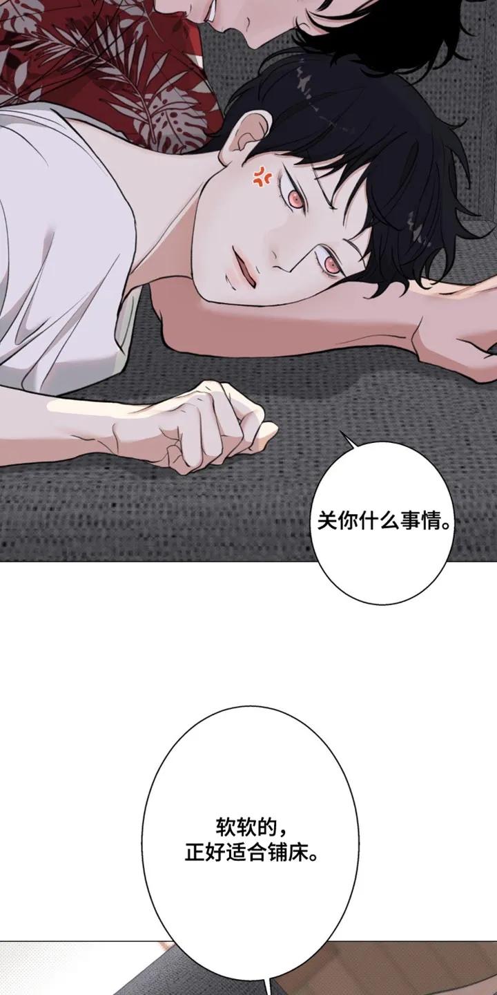 《海岛人生》第21章：讽刺 第14页