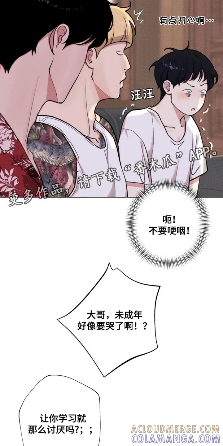 《海岛人生》第21章：讽刺 第29页