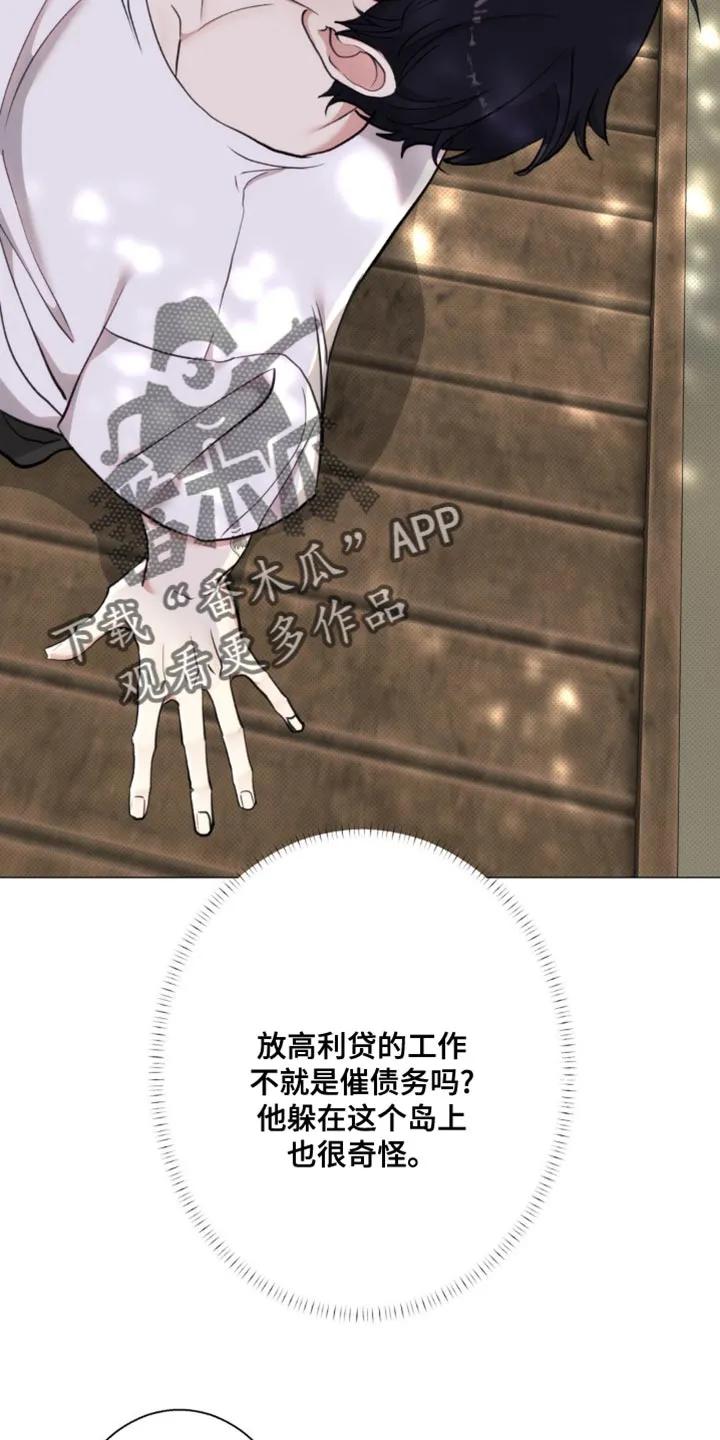 《海岛人生》第22章：做了坏事的心情 第12页