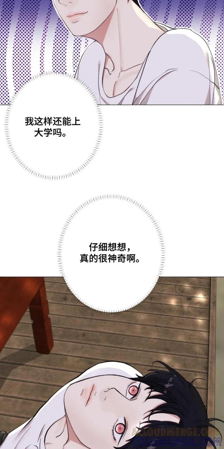 《海岛人生》第22章：做了坏事的心情 第11页