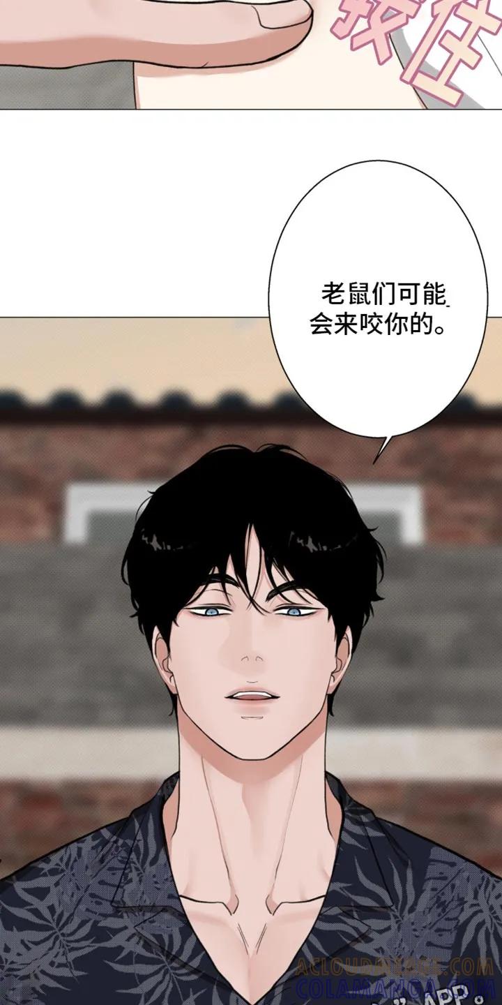 《海岛人生》第23章：老鼠 第31页