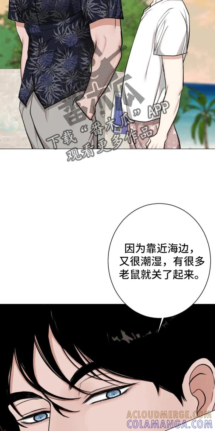 《海岛人生》第23章：老鼠 第27页