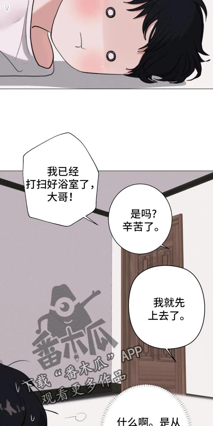 《海岛人生》第24章：躲起来 第12页
