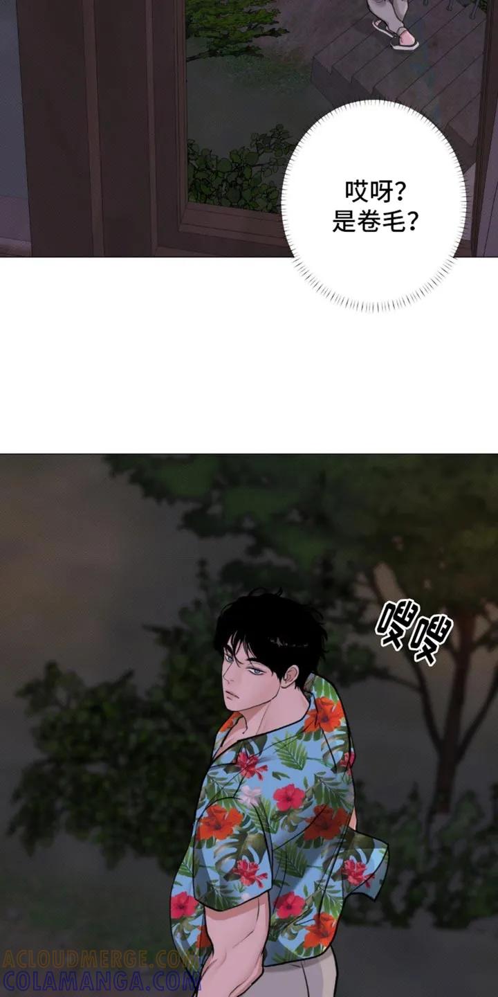 《海岛人生》第24章：躲起来 第19页