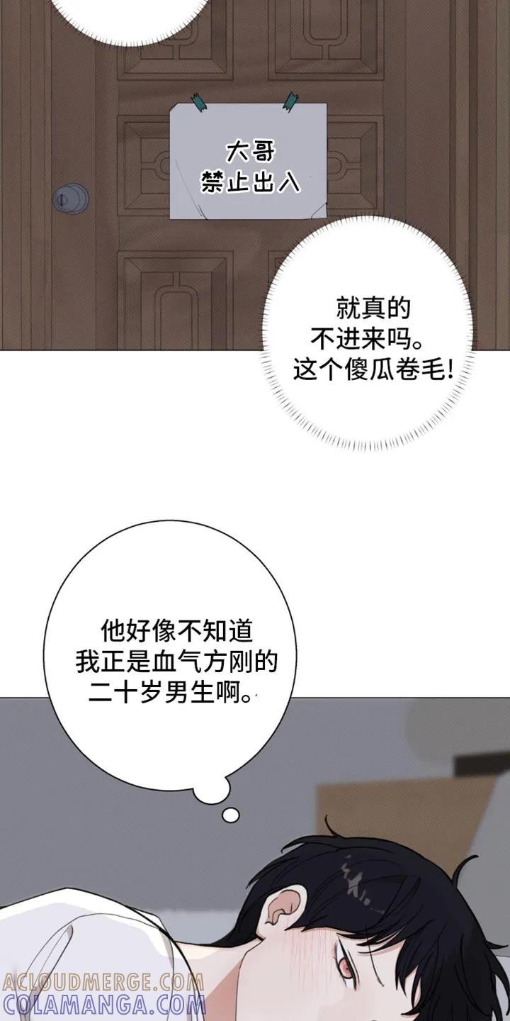 《海岛人生》第24章：躲起来 第3页