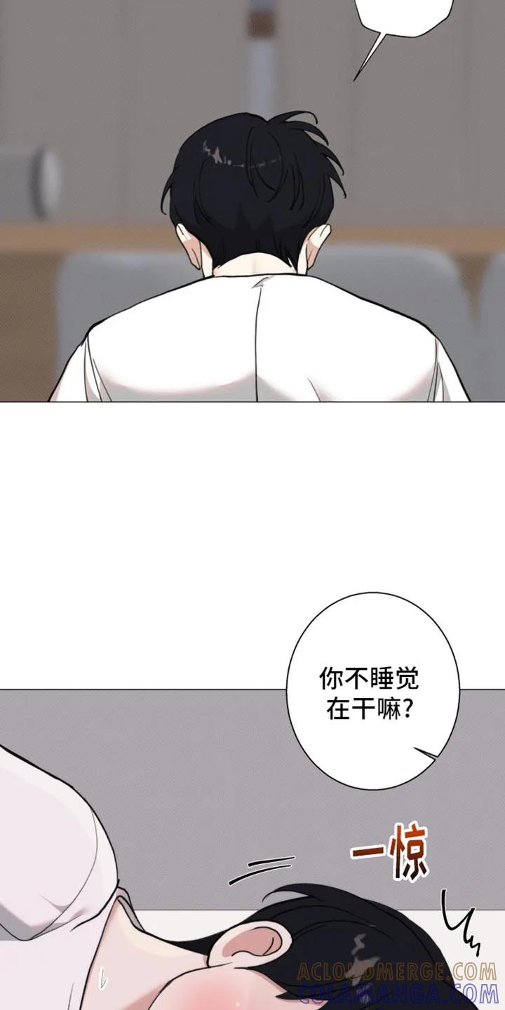 《海岛人生》第24章：躲起来 第11页