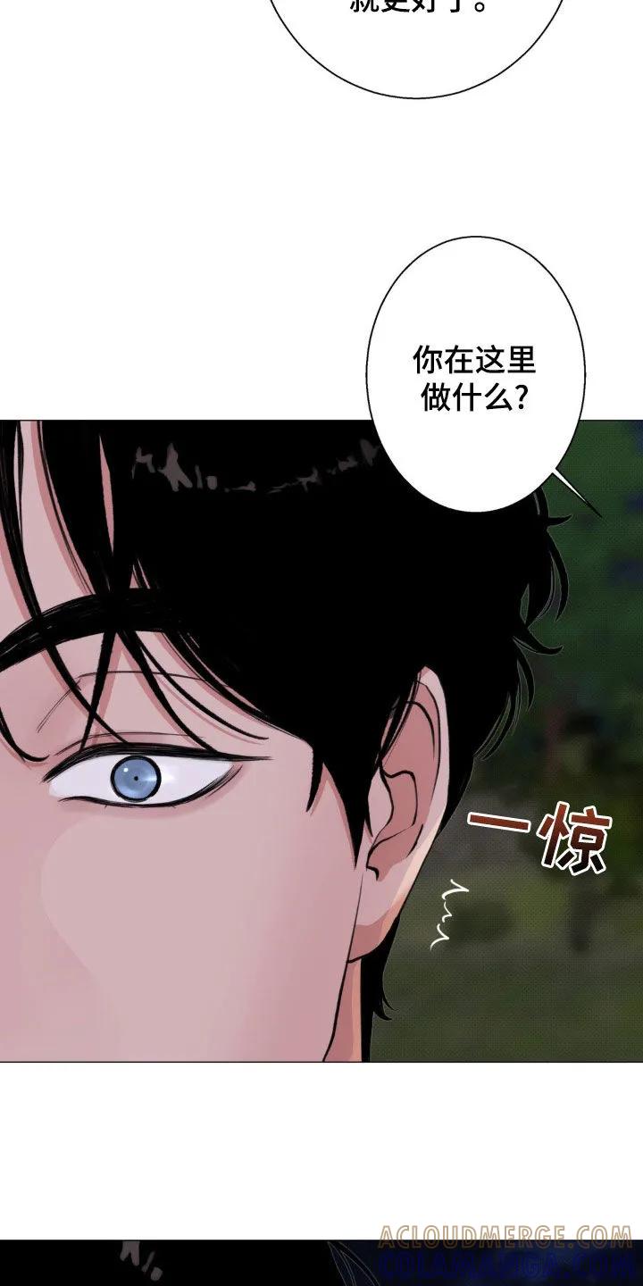 《海岛人生》第25章：不准动 第25页