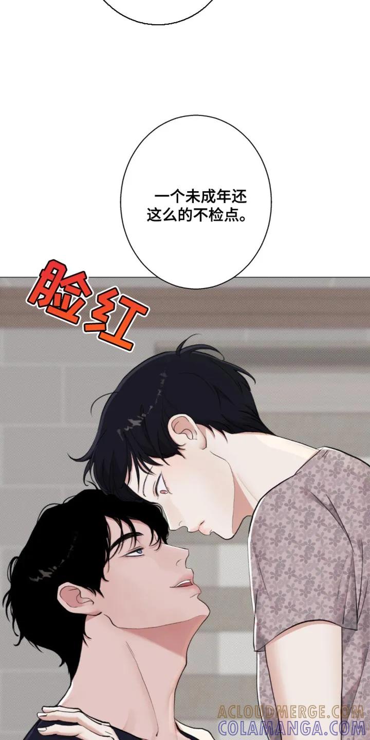 《海岛人生》第27章：你老实告诉我 第7页