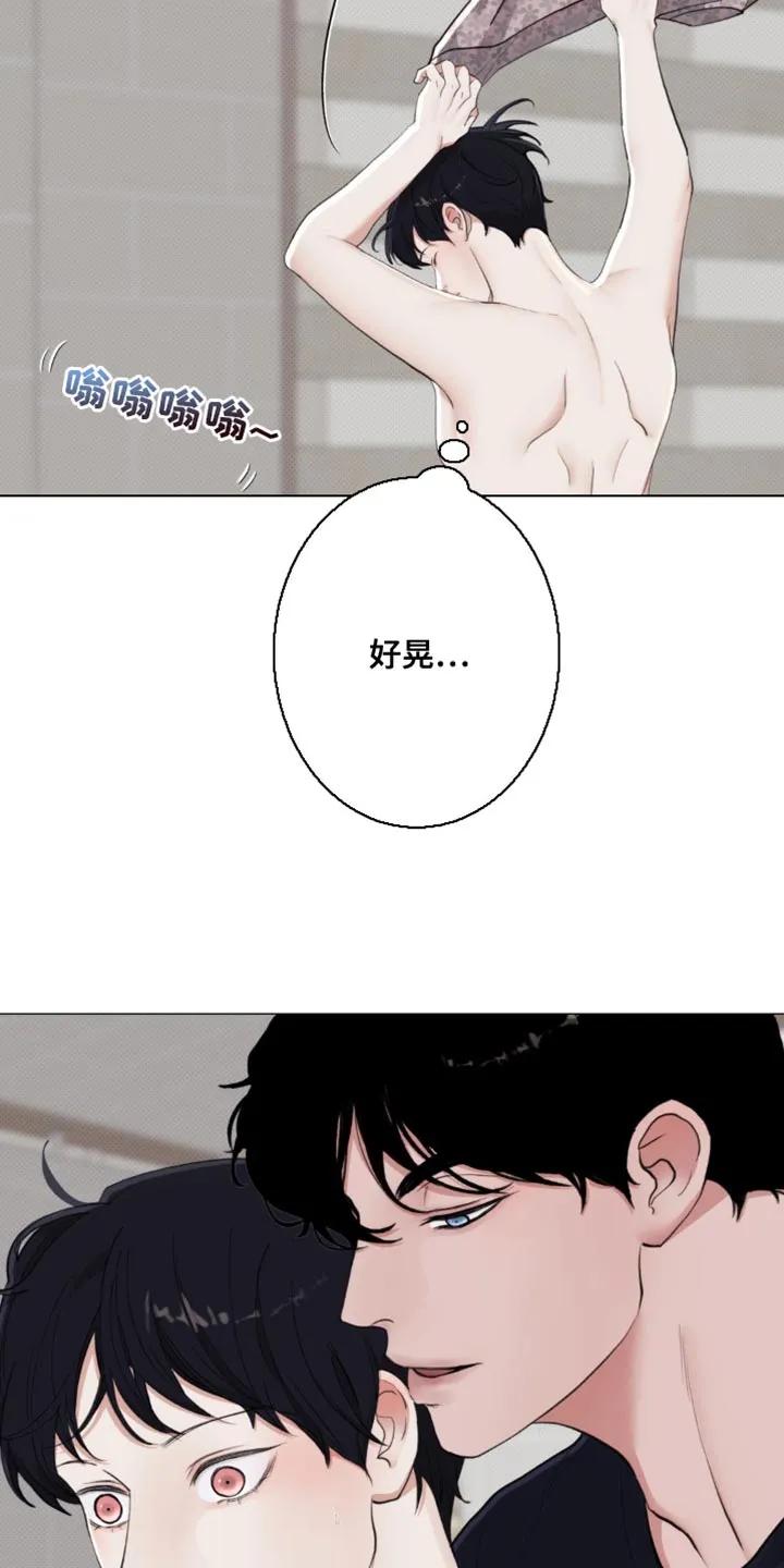 《海岛人生》第27章：你老实告诉我 第12页