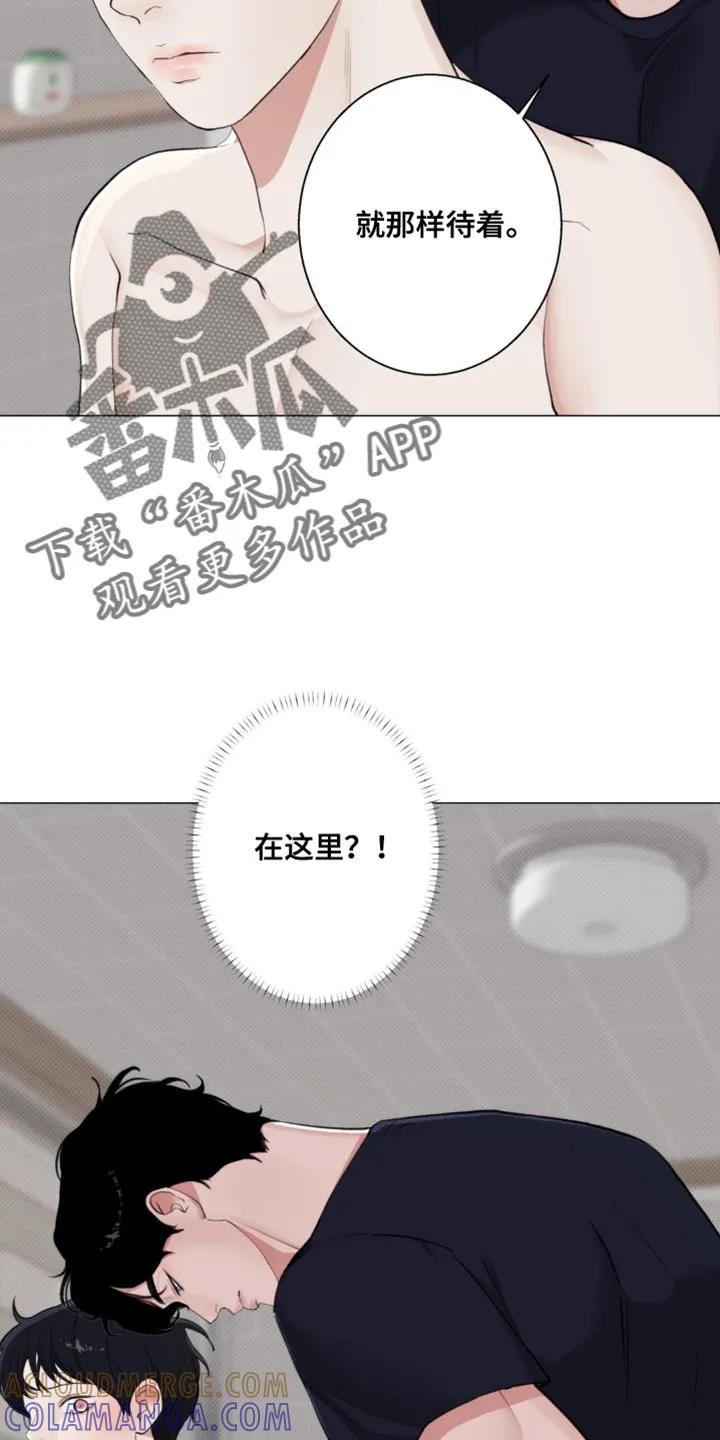 《海岛人生》第27章：你老实告诉我 第13页