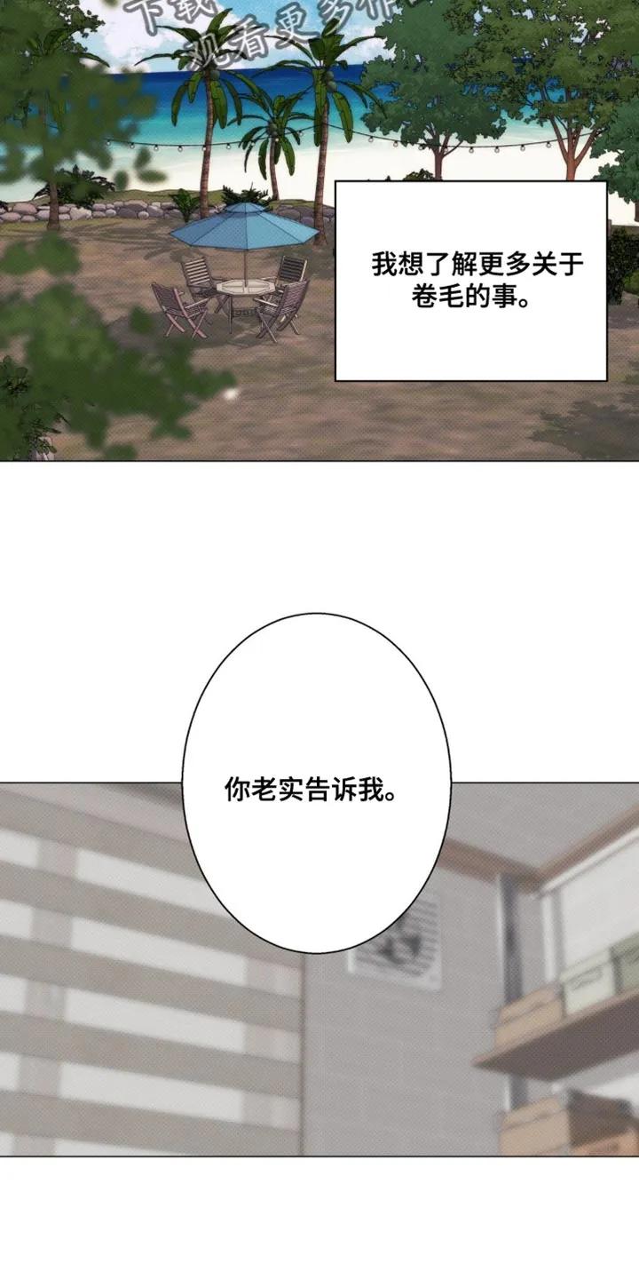 《海岛人生》第27章：你老实告诉我 第22页