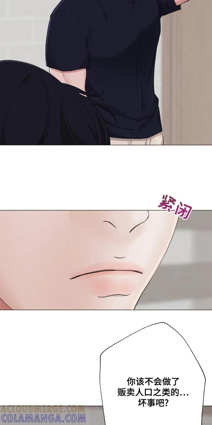 《海岛人生》第27章：你老实告诉我 第27页