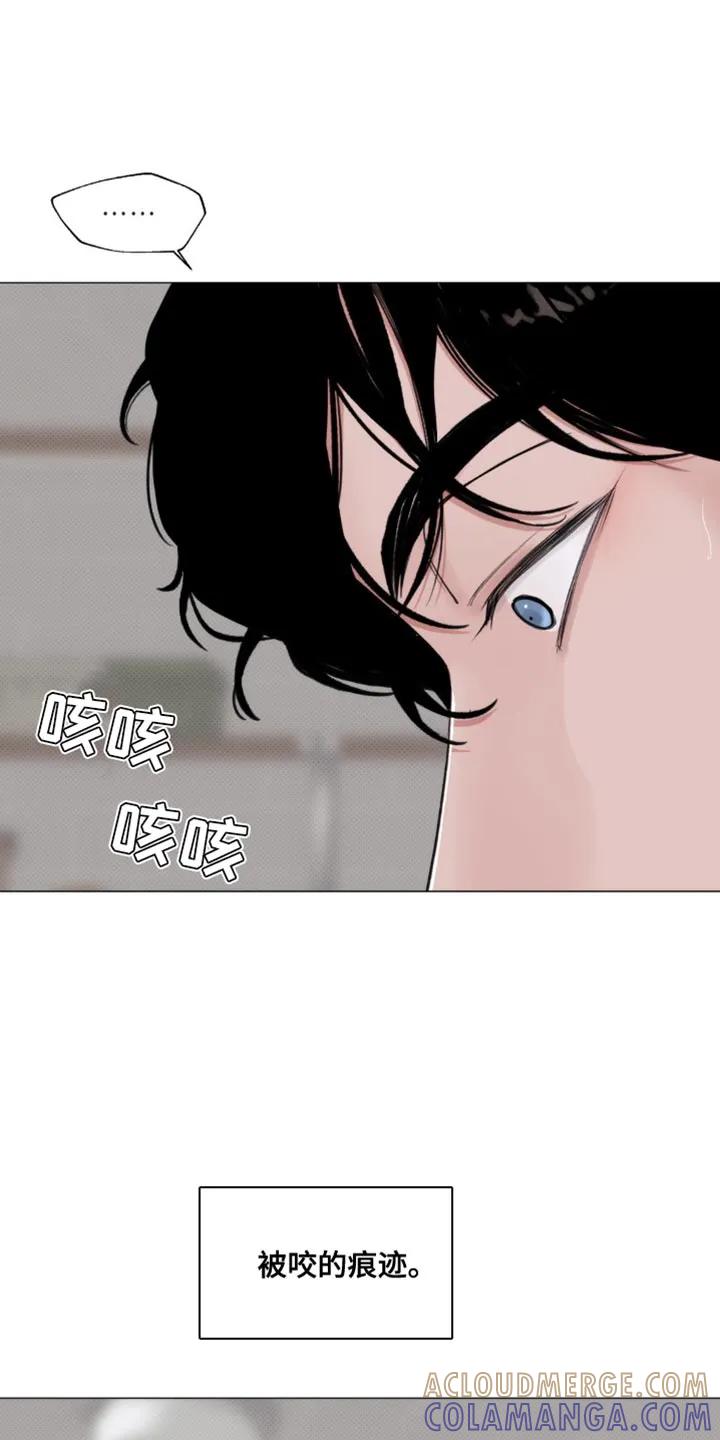 《海岛人生》第27章：你老实告诉我 第17页