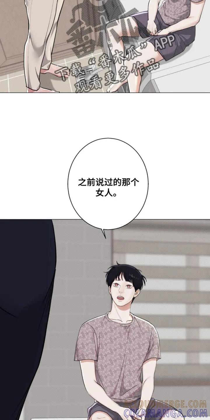 《海岛人生》第27章：你老实告诉我 第25页