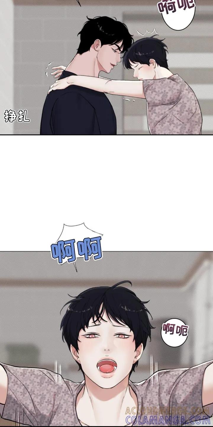 《海岛人生》第27章：你老实告诉我 第9页