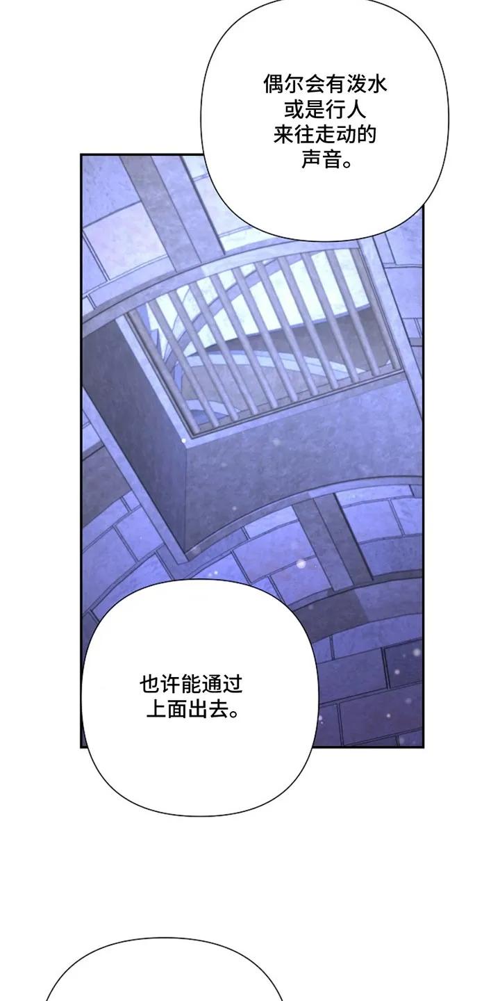 《这个乙游不对劲》第46章：那就试试吧 第22页
