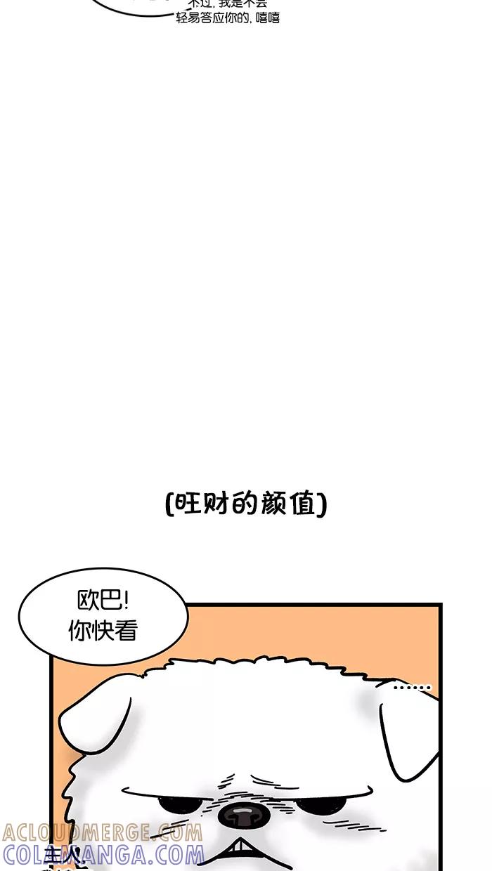 《我们结婚吧》[第100话] 旺财 第15页