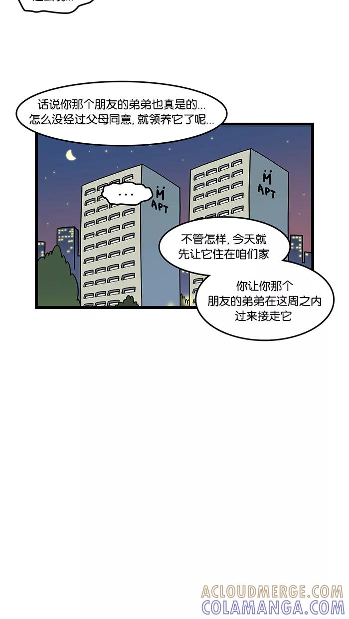 《我们结婚吧》[第86话] 小狗 第9页